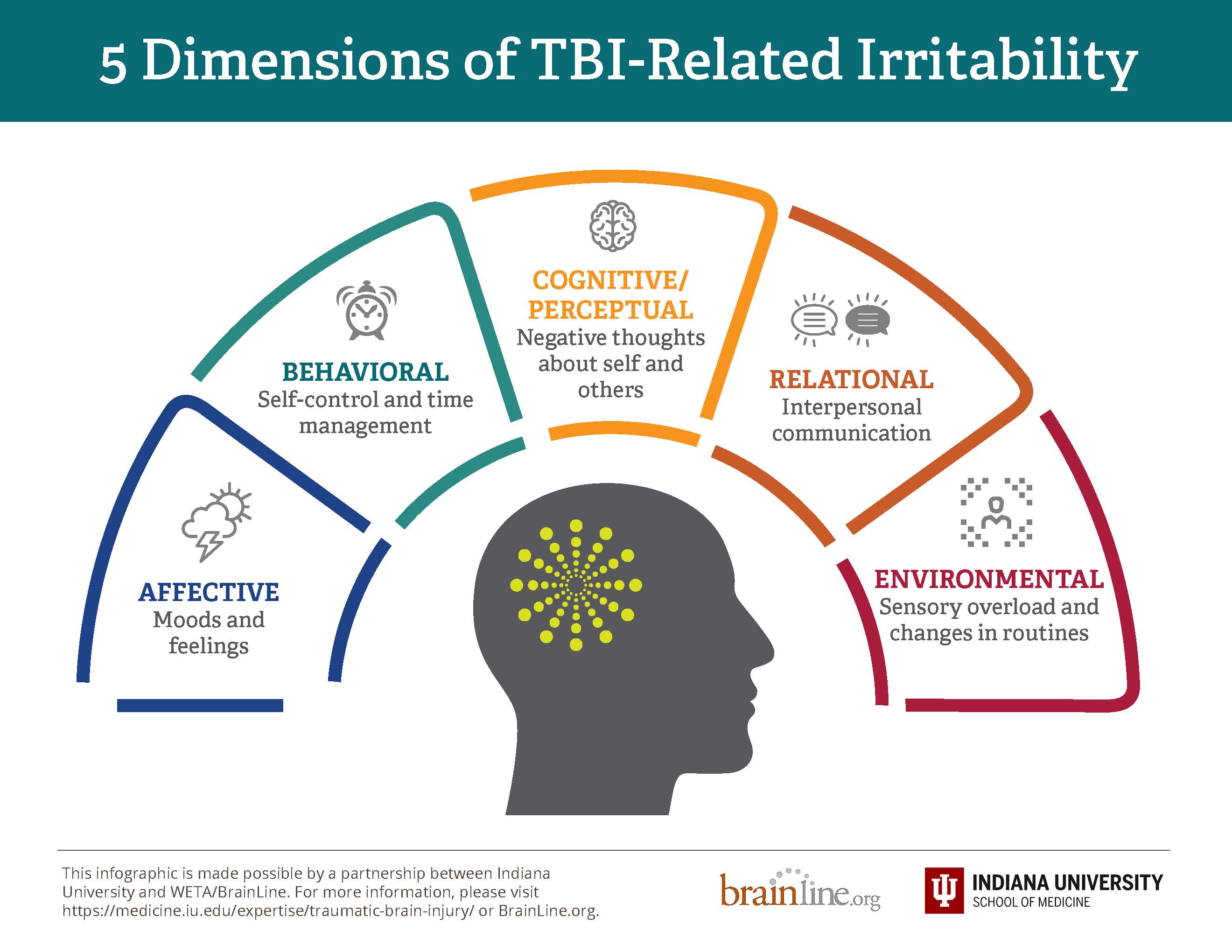 infographic on five dimensions of irritability page 1