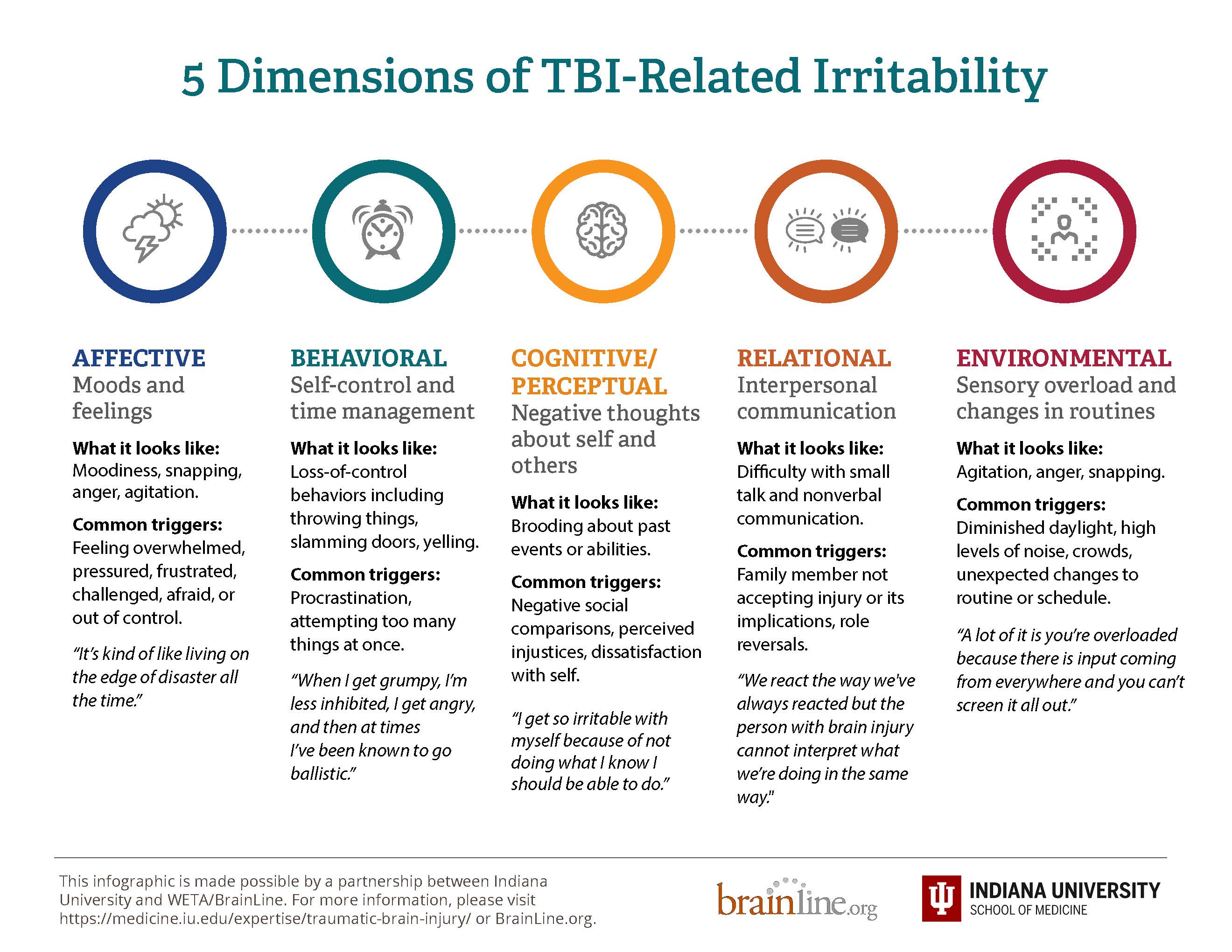 infographic on five dimensions of irritability page 2