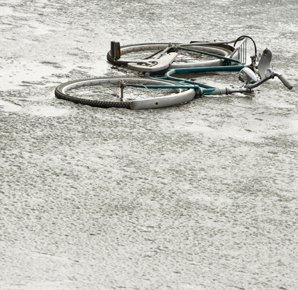 The Journey Toward Recovery: Youth with Brain Injury