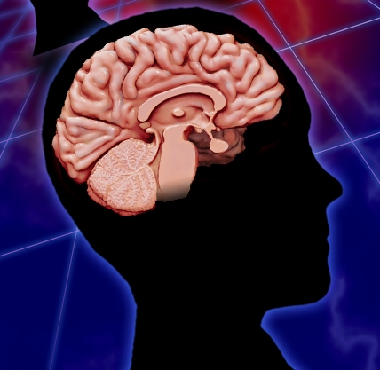 How Does TBI Affect the Brain? | BrainLine