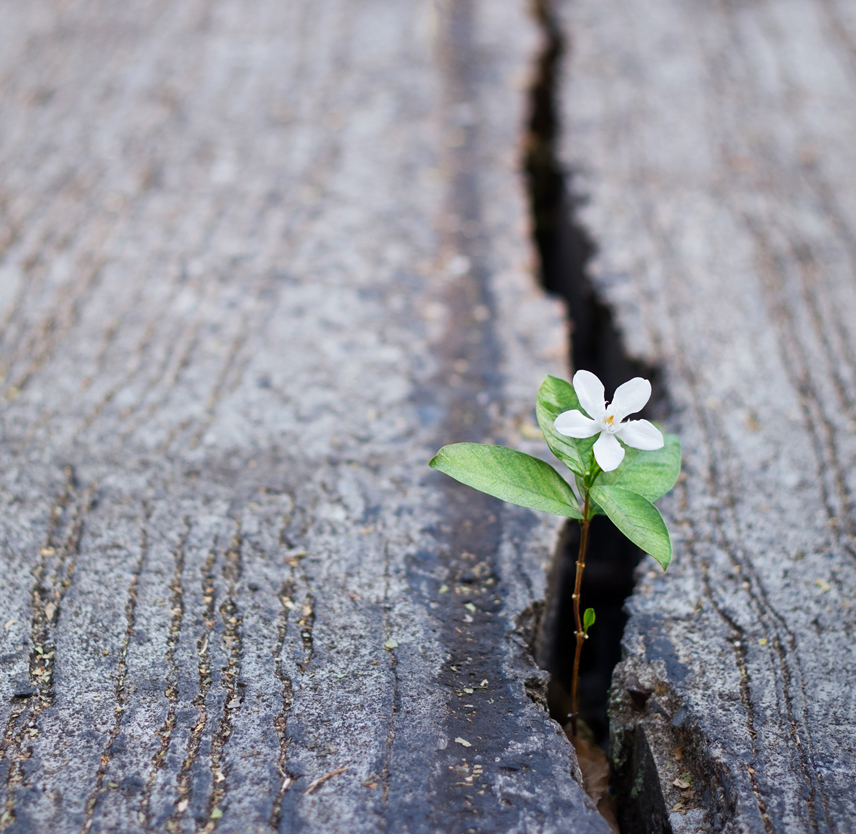 Caregivers Staying Positive Hope & Resilience