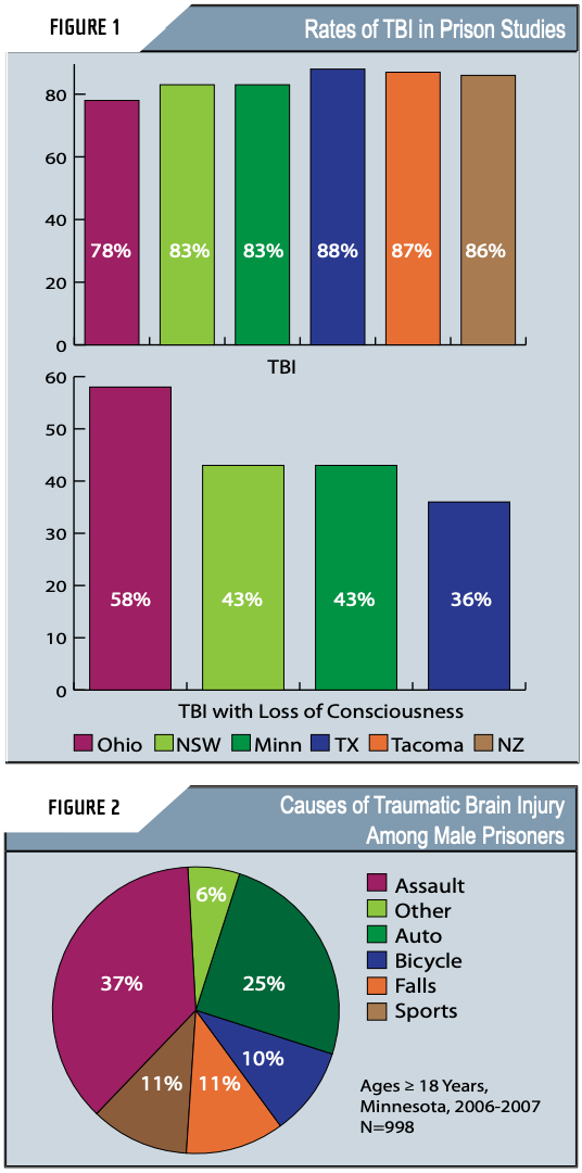 Chart detailing TBI rates in male prisoners