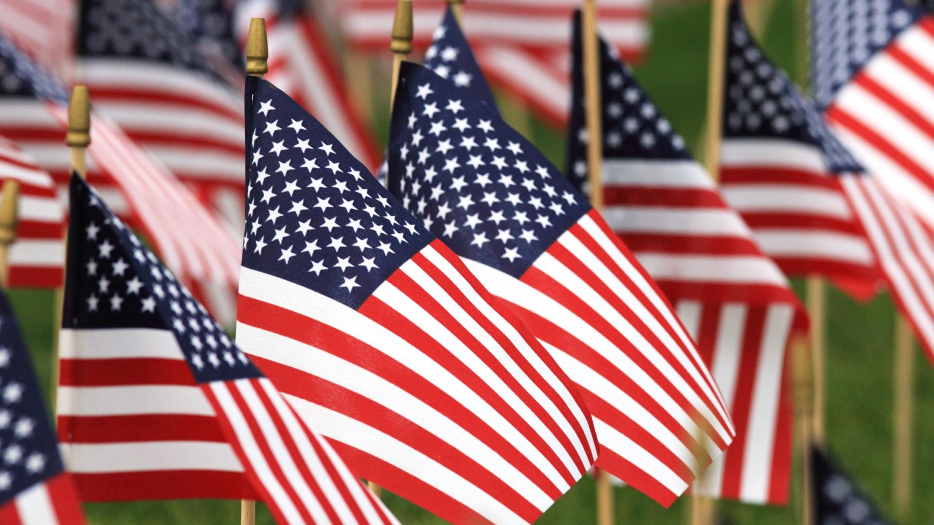 A field of American flags