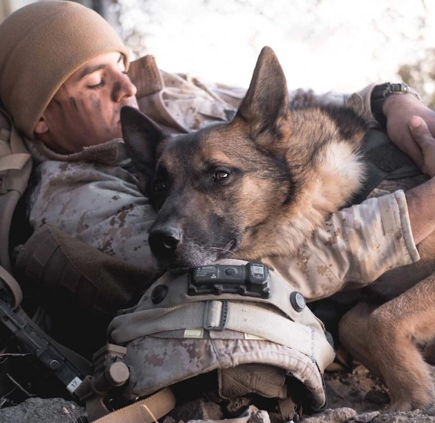 Marine Corps Cpl. Carlos Deleonsantiago rests with his military working dog, Fero, at Marine Corps Air Ground Combat Center Twentynine Palms, Calif., Feb. 16, 2020. DoD Photo by USMC Lance Cpl. Cedar Barnes USMC Cpl. C. Deleonsantiago rests with his working dog. DoD Photo by USMC Lance Cpl. C. Barnes