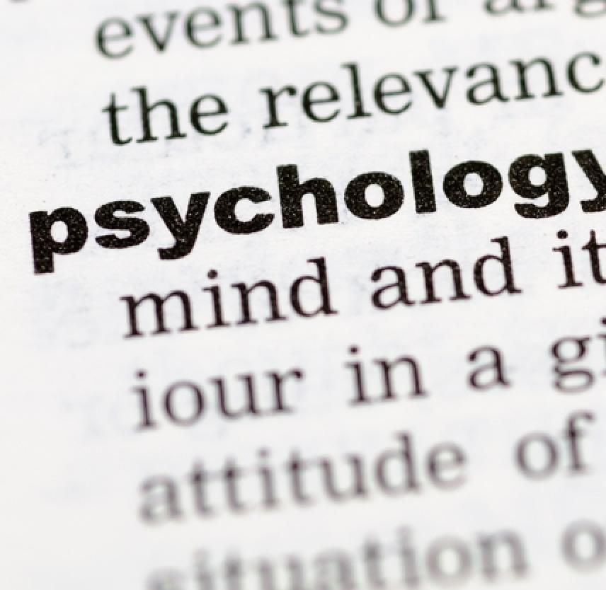 Guidebook for Psychologists: Working with Clients with Traumatic Brain Injury