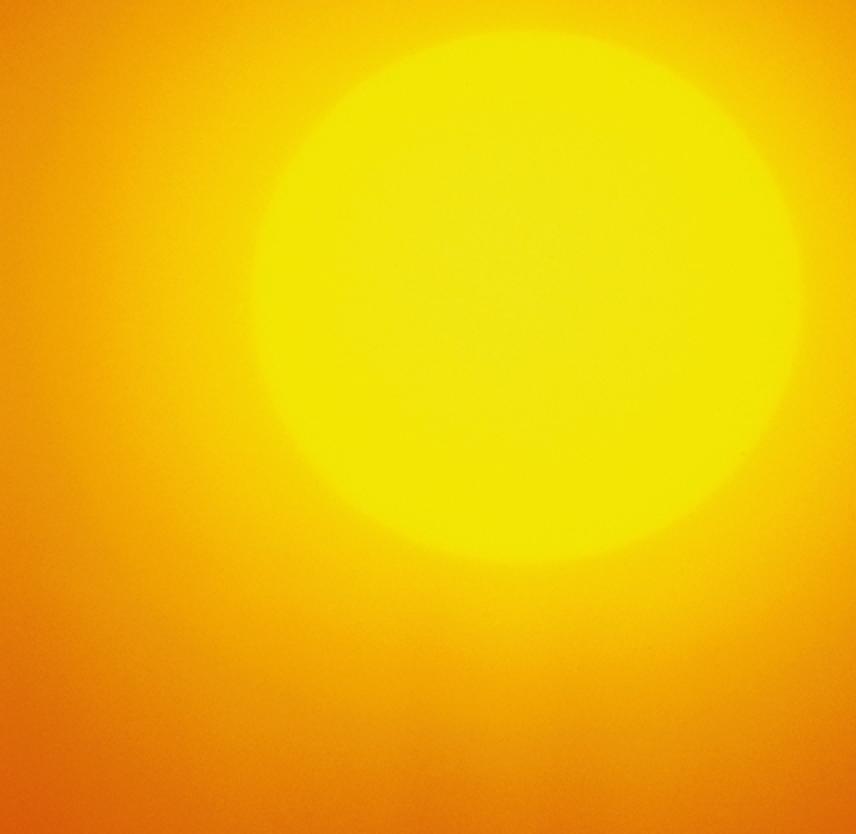 Lost & Found: Caps, Sunglasses, and Earplugs