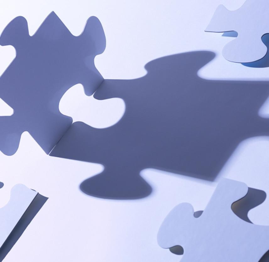 TBI: Fitting the Pieces Together