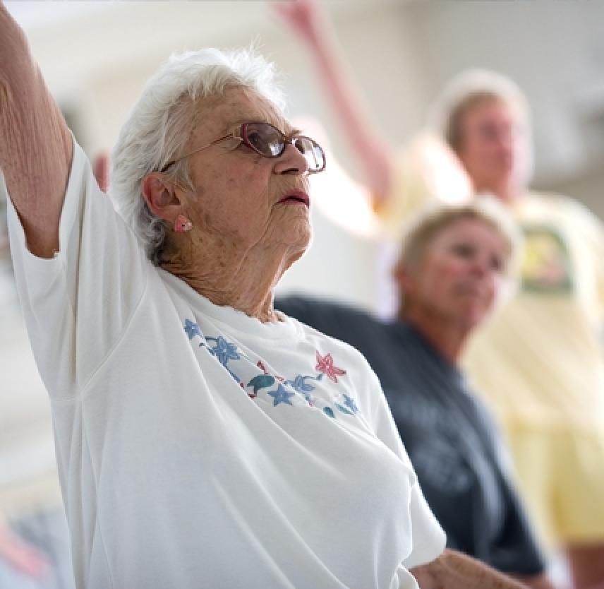 Preventing Traumatic Brain Injury in Older Adults