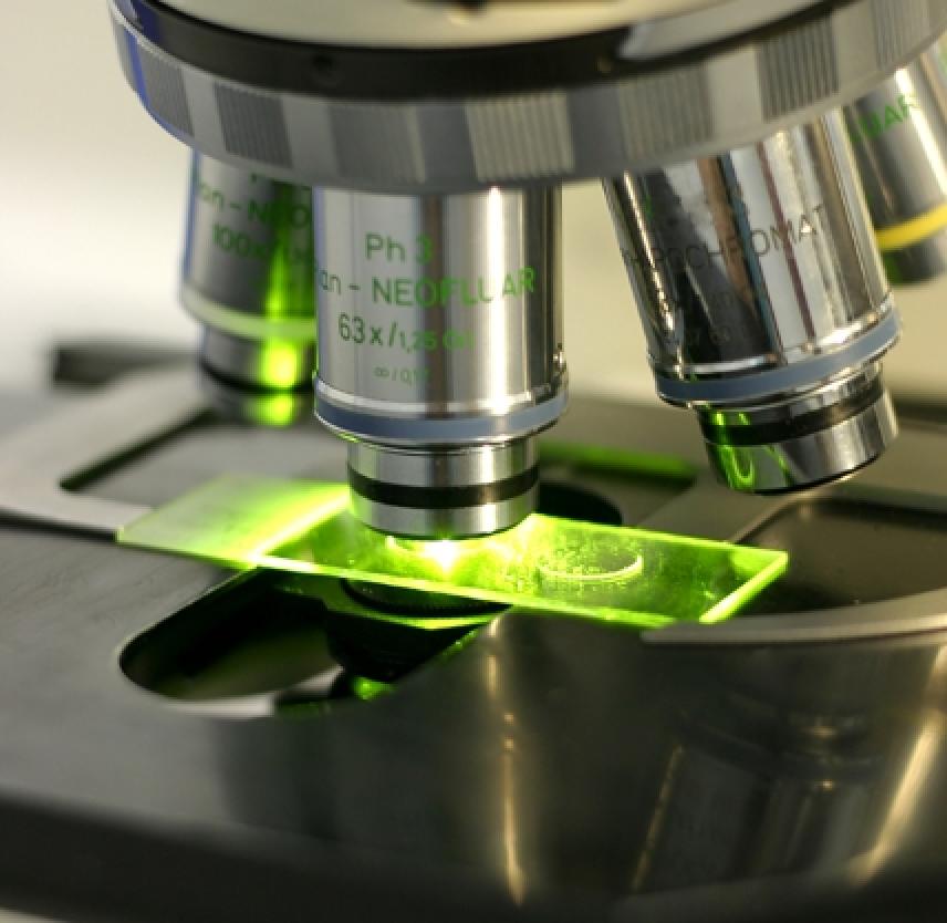 Overview of TBI Model Systems