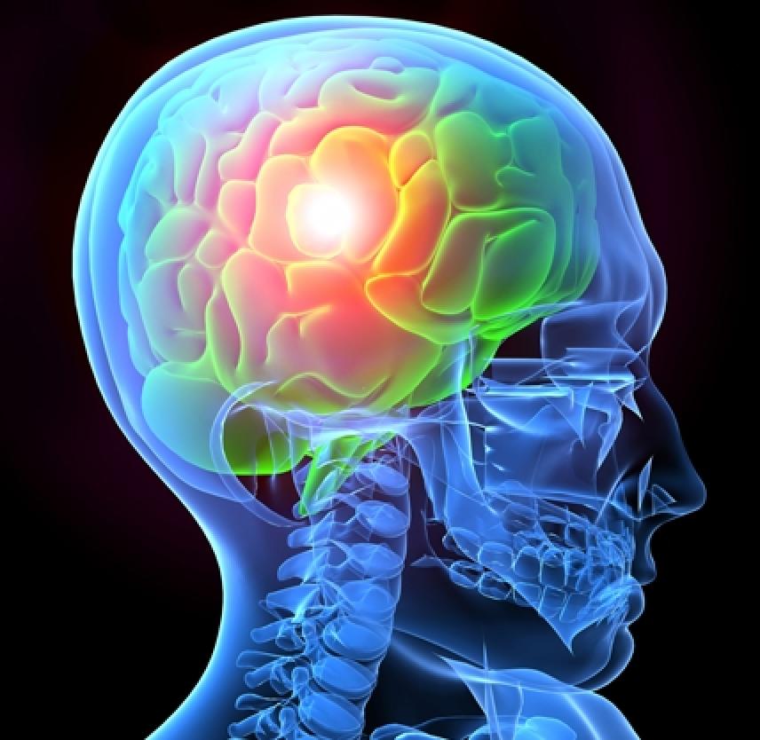 of brain damage case study