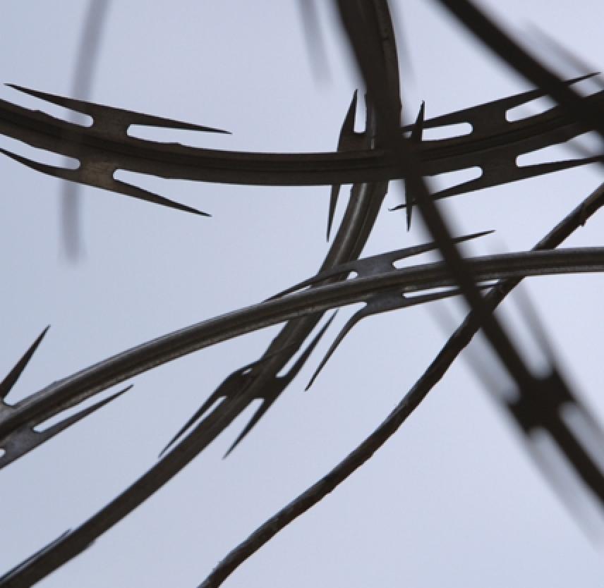 Traumatic Brain Injury in Prisons and Jails