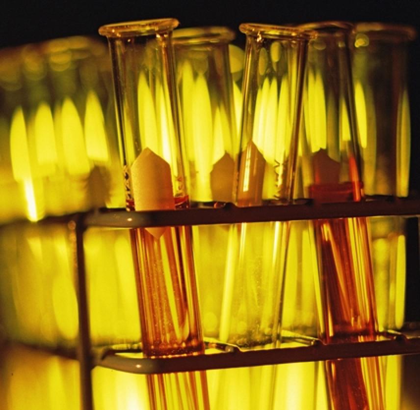 Keeping Track of Current Research on Traumatic Brain Injury