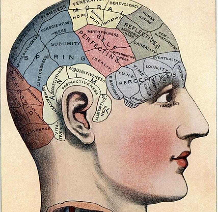 Homonymous Hemianopsia: Right Versus Left Hemispheric Injury
