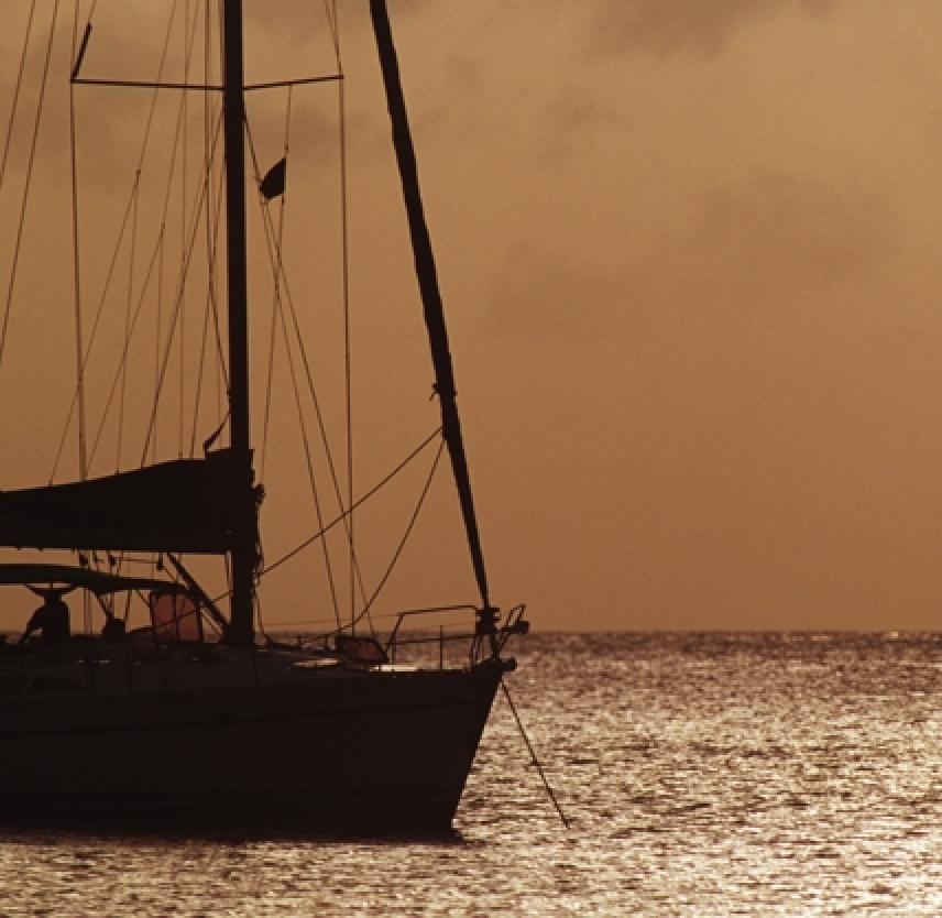 Passage to Nirvana: A Survivor's Zen Voyage