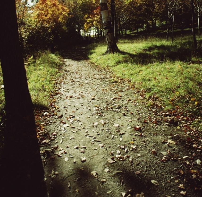 Couldn't Happen to Me