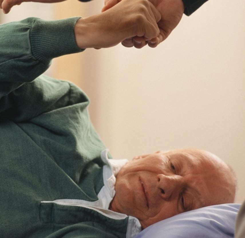 An Introduction to Rehabilitation: The Healing Brain