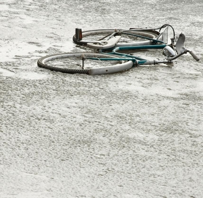 The Journey Toward Recovery: Youth with Brain Injury