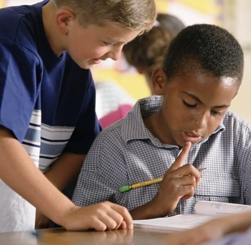 BrainSTARS: Judgement