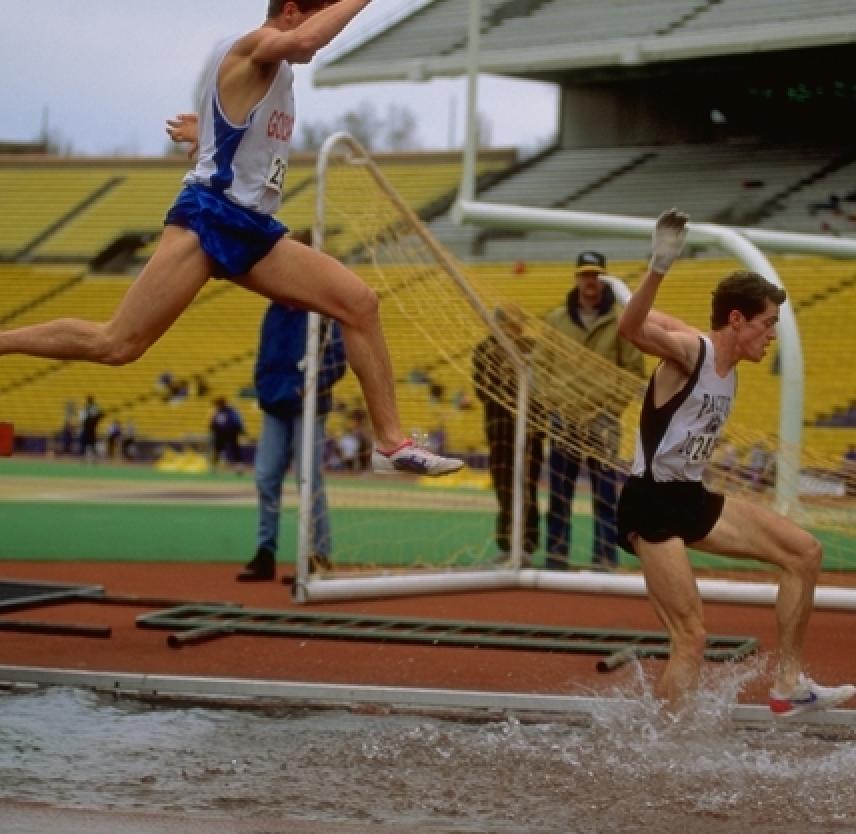 Bring on the Steeple Chase!