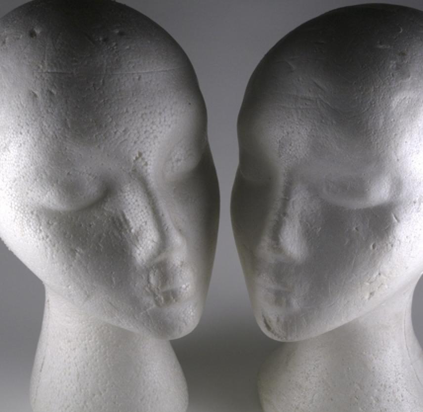 The Capgras Delusion: You Are Not My Wife!