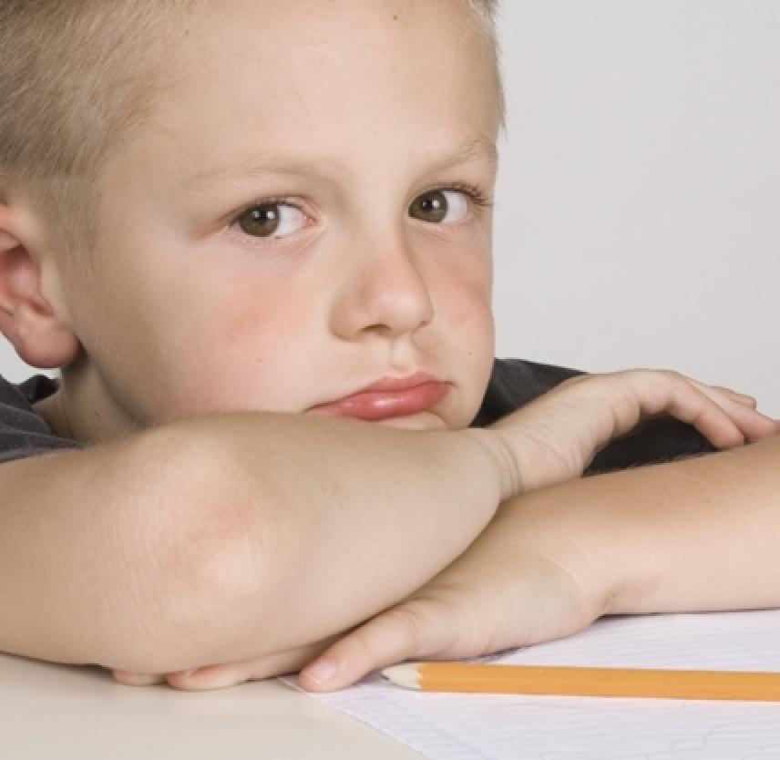 BrainSTARS: Receptive Language