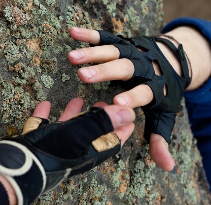 Resilience: What Is It?