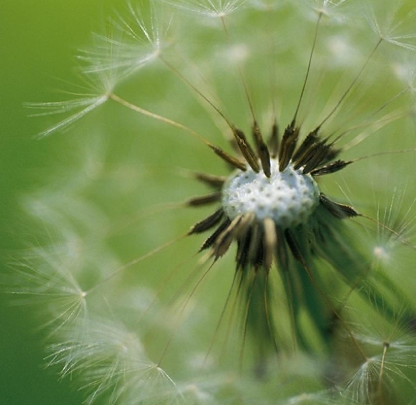 What Does It Mean to Survive?