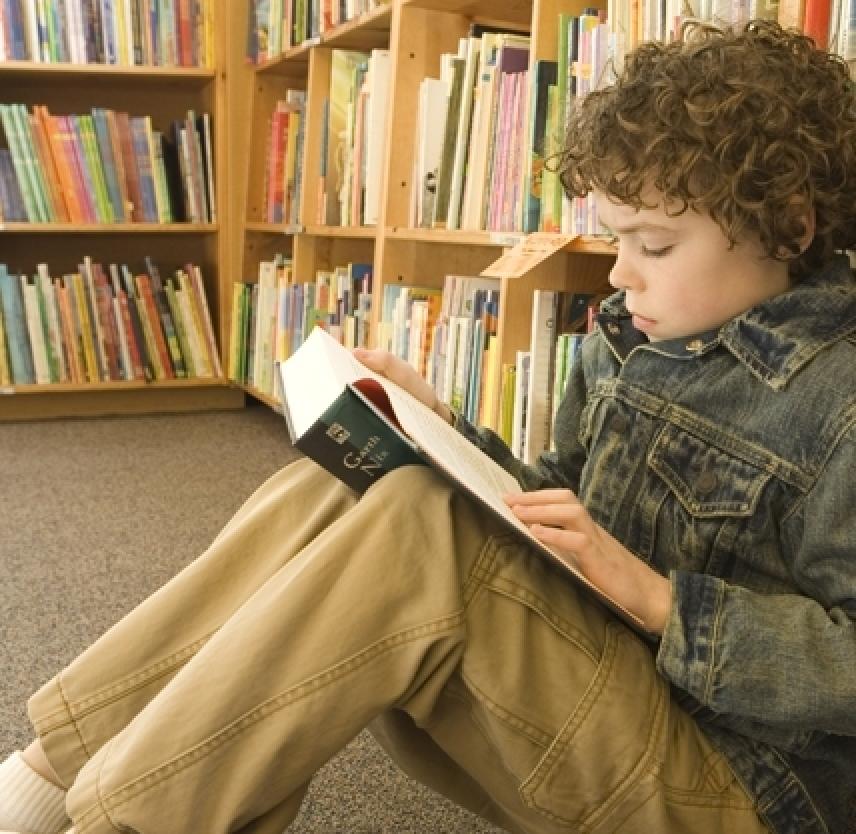 BrainSTARS: Planning