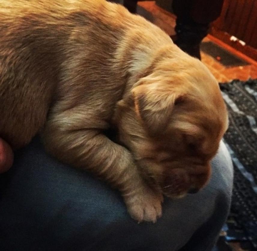 Is the Past History?