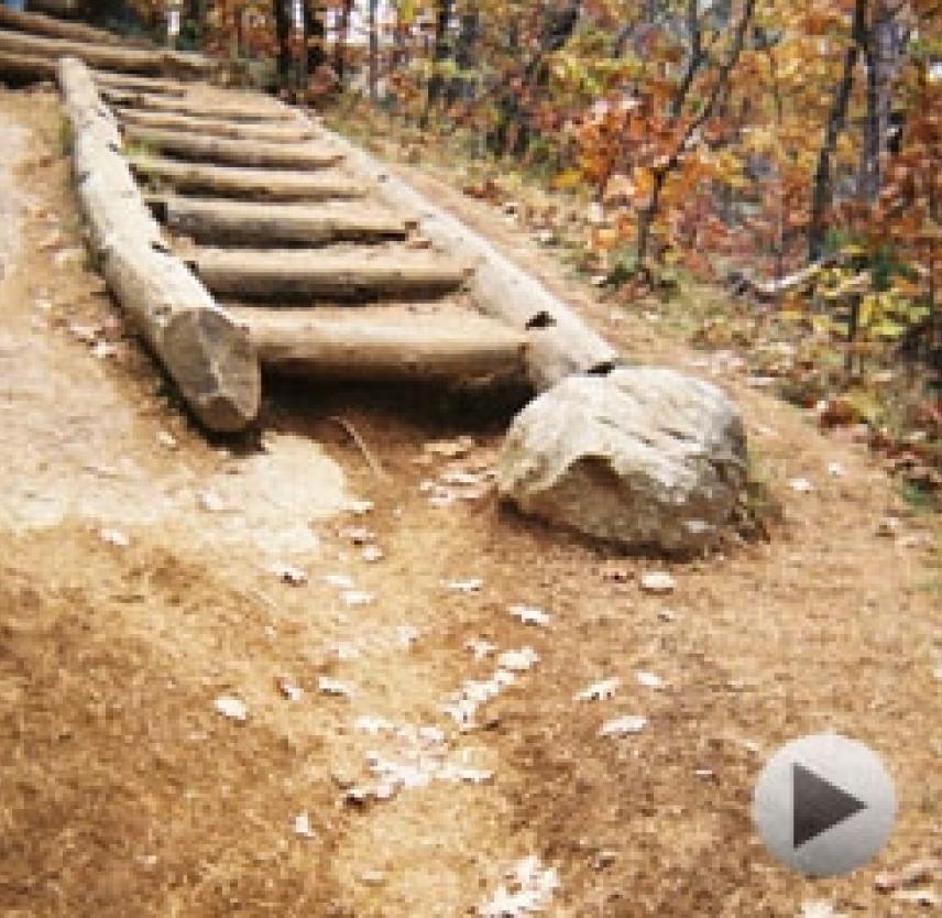 Photovoice Brain Injury X-Posed