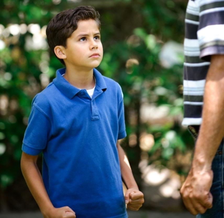 El Enojo DespuÃ©s de LesiÃ³n Cerebral