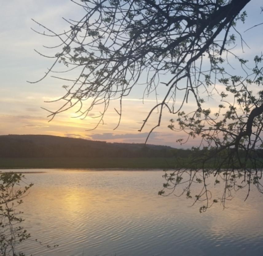 Let There Be More Let There Be More