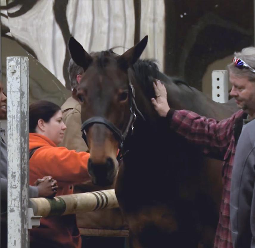 Photo of two people brushing and petting a brown horse who is facing the camera wearing a bridle