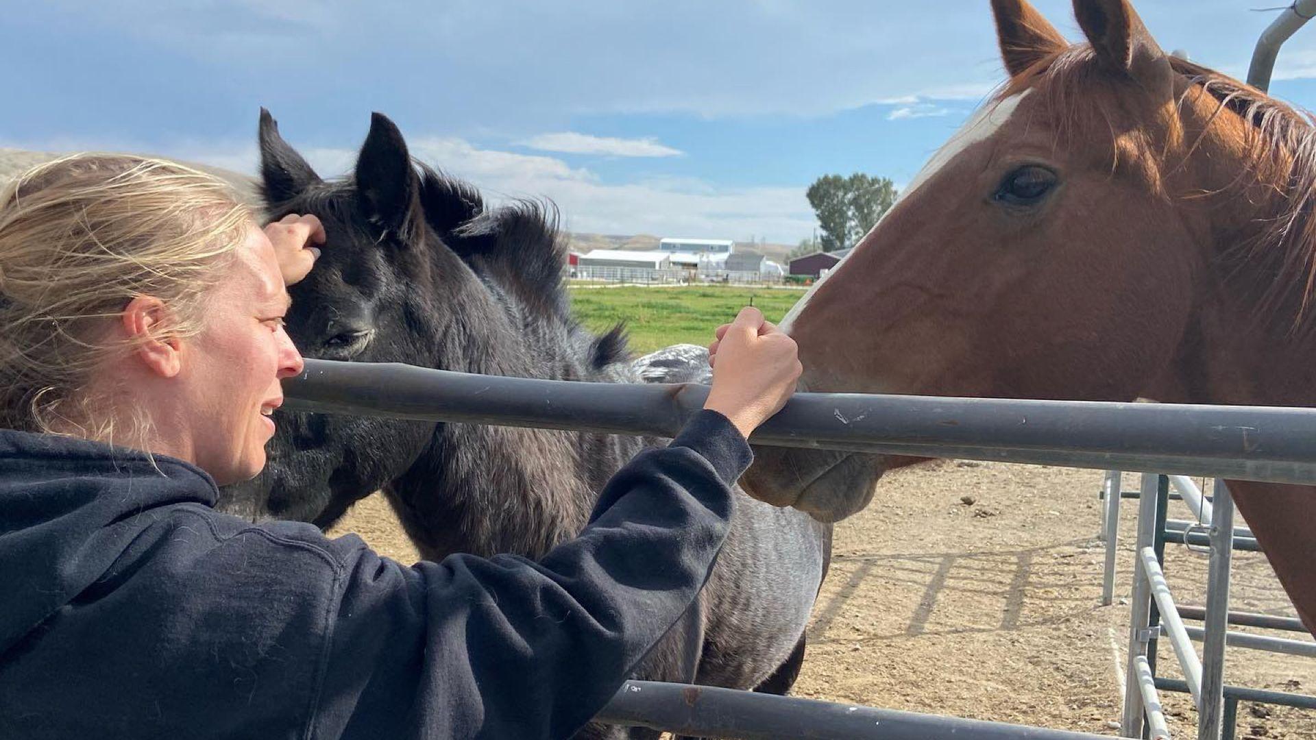 Angela pets horses at a ranch