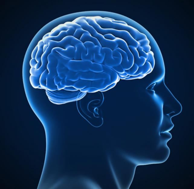 TBI Basics What You Need to Know About Brain Injury