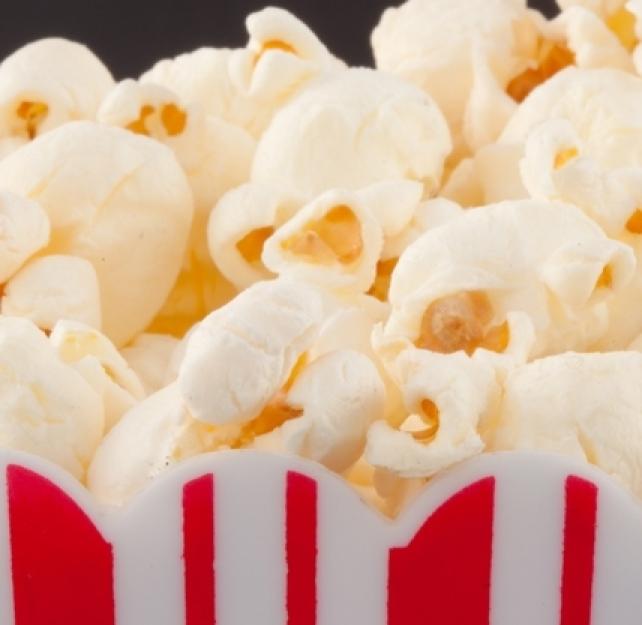 How Accurate is the Movie, â€œThe Vowâ€?