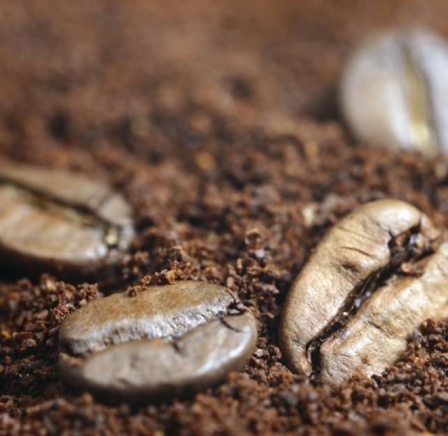 Changes in Taste, Smell, and Hormones After Brain Injury