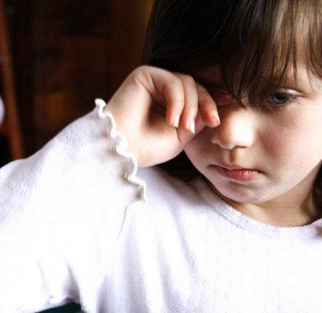 Understanding Behavior