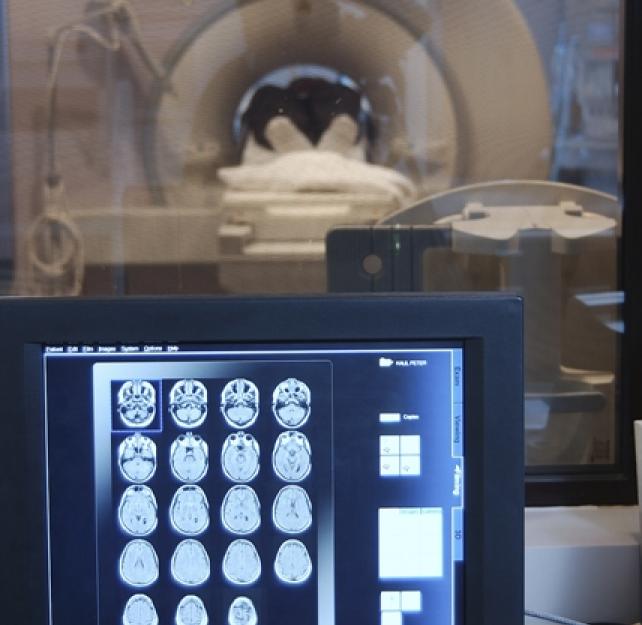 Brain Injury: Common Tests and Procedures