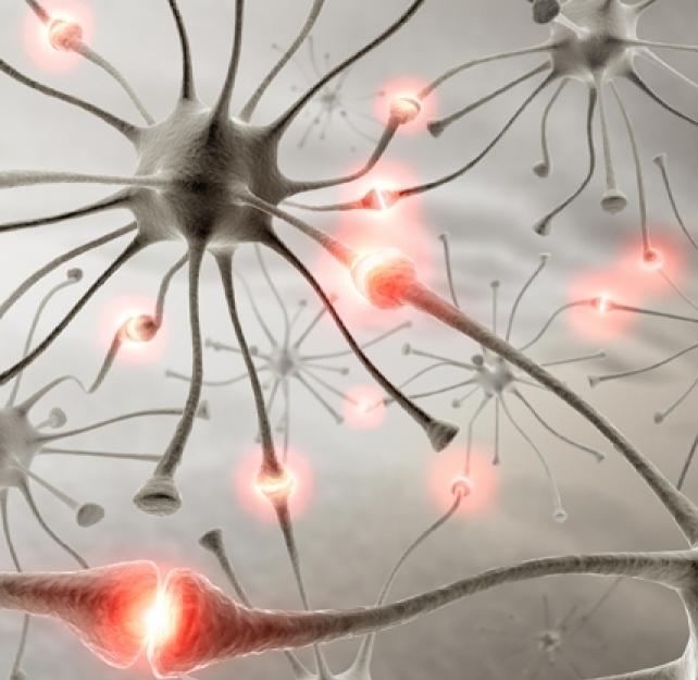 Ask the Expert: What Is Neuroplasticity?