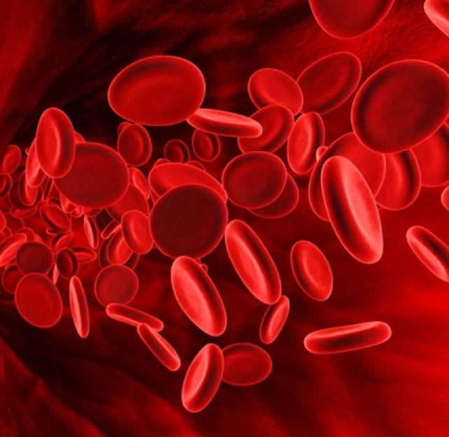 Dr. Jeffrey Bazarian Talks About Using Biomarkers to Detect Traumatic Brain Injury