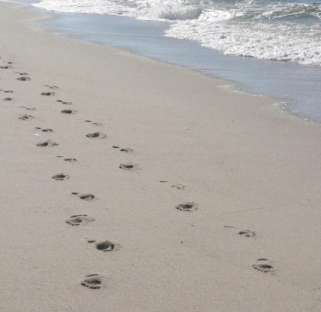 Ask the Expert: Problems with Coordination After Brain Injury