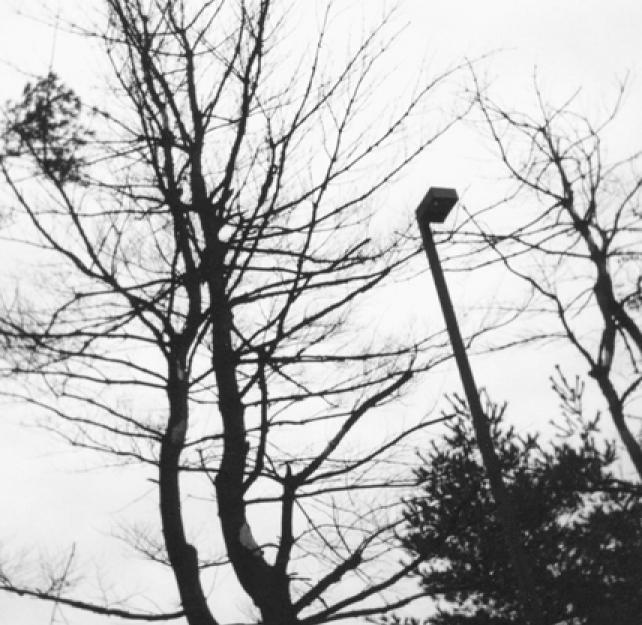 Emcompassing Darkness and Light