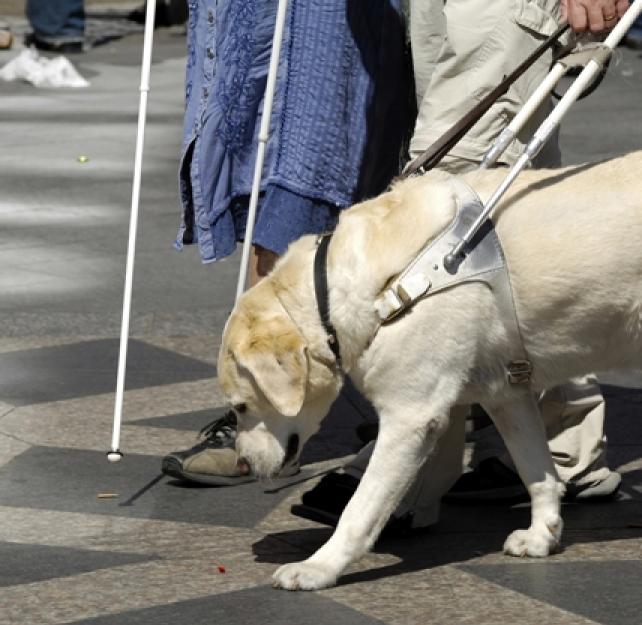 Disaster Readiness Tips for People with Sensory Disabilities