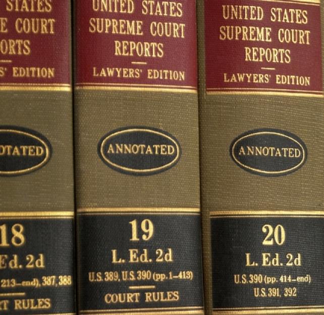 Traumatic Brain Injury: A Guide for Criminal Justice Professionals