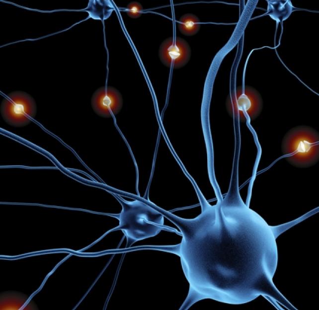 Understanding Traumatic Brain Injury, Part 2: Brain Injury Impact on Individual Functioning