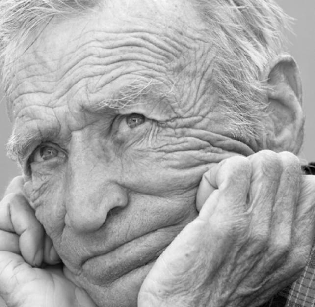 Datos sobre las lesiones traum&aacute;ticas del cerebro