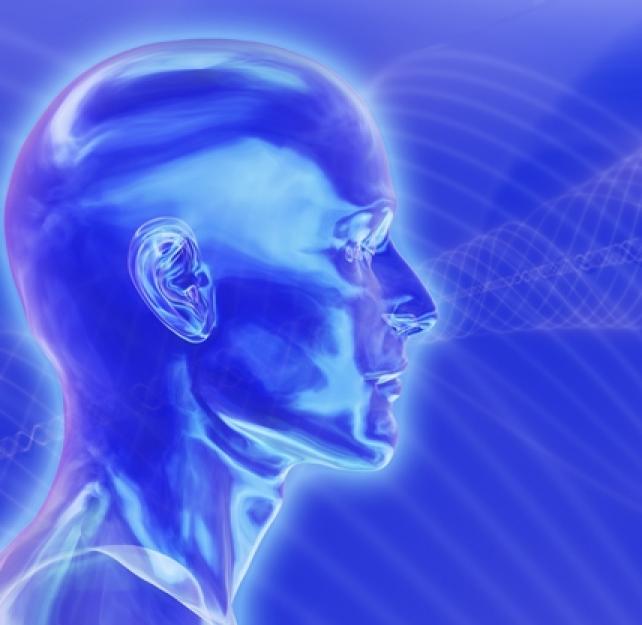 Traumatismo cerebral: Esperanza en la investigaciÃ³n