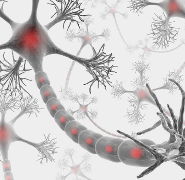 What is Diffuse Axonal Injury?