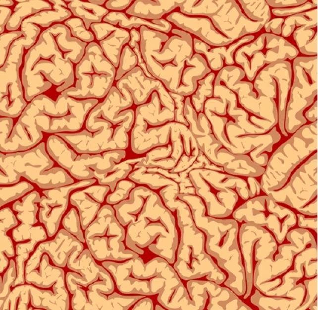 What is the Difference Between a Subdural and Epidural Hematoma?